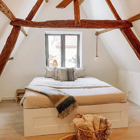 Cozy